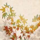 Turning Leaves I Botanical Print