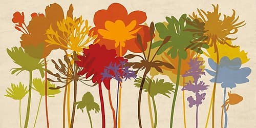 Brilliant Bloom Art Print