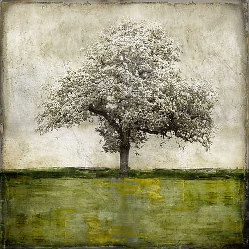 Majestic - Green Art Print by Eric Turner
