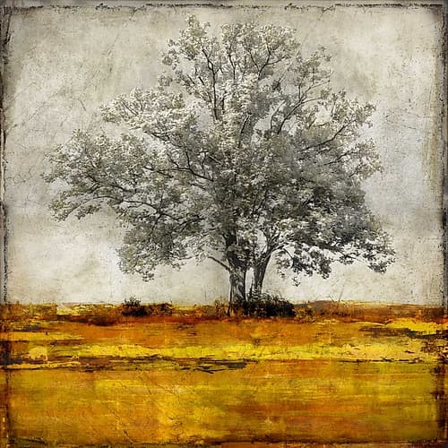 Majestic - Amber Art Print by Eric Turner