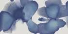 Animate Indigo I Art Print