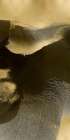 Circulate II Art Print