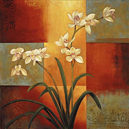 White Orchid Art Print