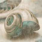 Coastal Gems II Art Print