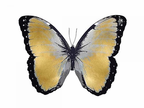 Butterfly in Metallic I Art Print by Julia Bosco
