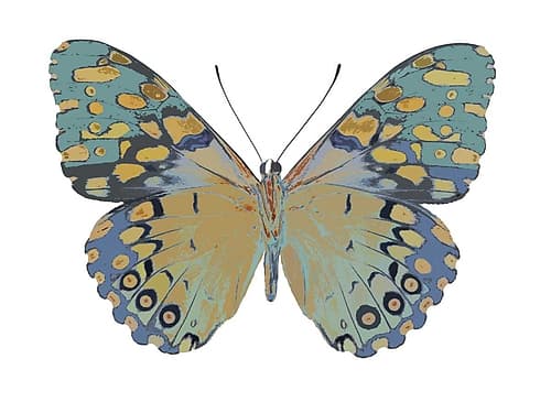 Butterfly in Amethyst II Art Print by Julia Bosco