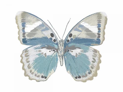Butterfly in Green and Indigo Art Print