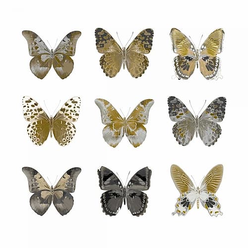 Butterfly Study in Gold I Animaux reproduction