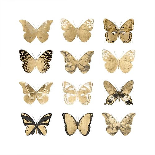 Butterfly Study in Gold II Animaux reproduction