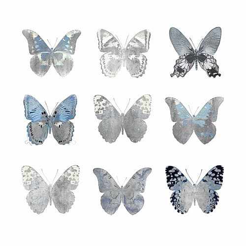 Butterfly Study II Animaux reproduction
