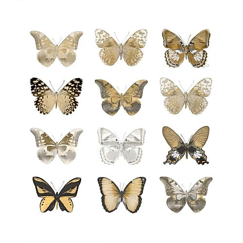 Butterfly Study in Gold III Art Print