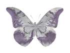 Butterfly in Amethyst I Art Print