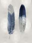 Blue Feather Pair on Silver Art Print