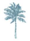 Palm Aqua I Art Print