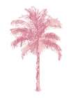 Palm Pink II Art Print