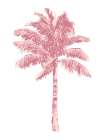 Palm Pink I Art Print