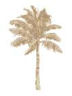 Palm Natural I Art Print