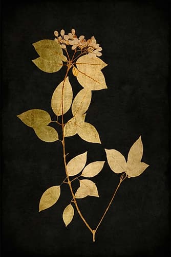 Golden Nature VI Art Print