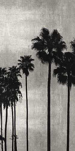 Palm Silhouette on Silver III Tropical Print