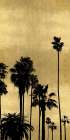 Palm Silhouette on Gold III Art Print