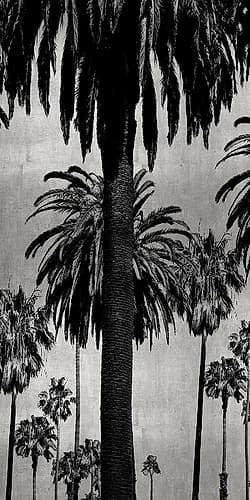 Palms with Silver I Tropical Print