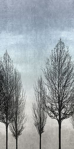 Tree Silhouette II Art Print by Kate Bennett
