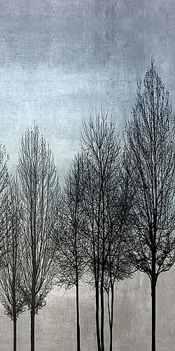 Tree Silhouette III Art Print by Kate Bennett