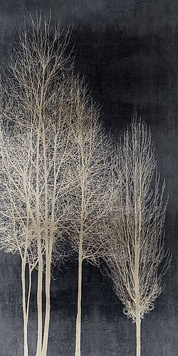 Silver Tree Silhoutte I Art Print by Paul Bennett