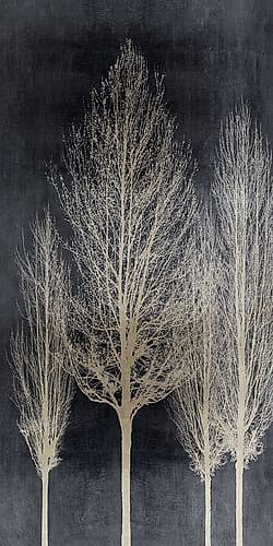 Silver Tree Silhoutte II Art Print by Paul Bennett