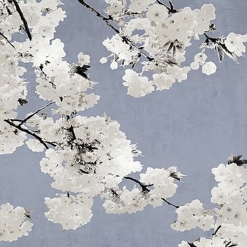 Blossoms on Blue I Art Print