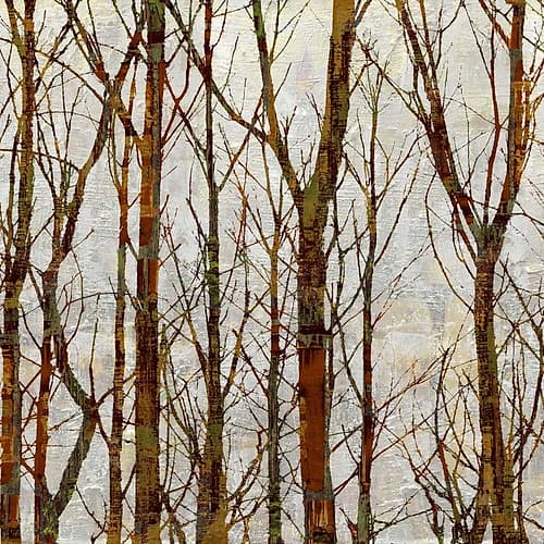 Through The Trees I Art Print by Kyle Webster