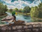 Duck Date Art Print