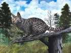 Feline Focus Art Print