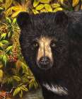 Black Bear Stream (Detail) Art Print