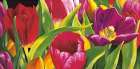 The spring Art Print
