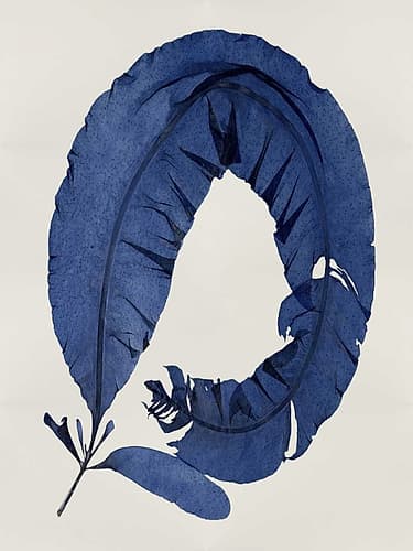 Sea Life - Indigo I Art Print