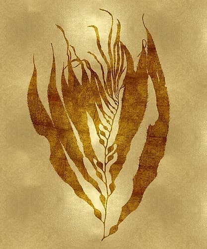 Sea Life - Gold I Art Print