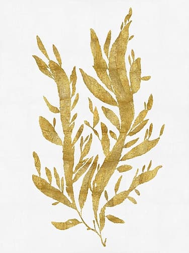 Sea Life - Gold on White IV Art Print
