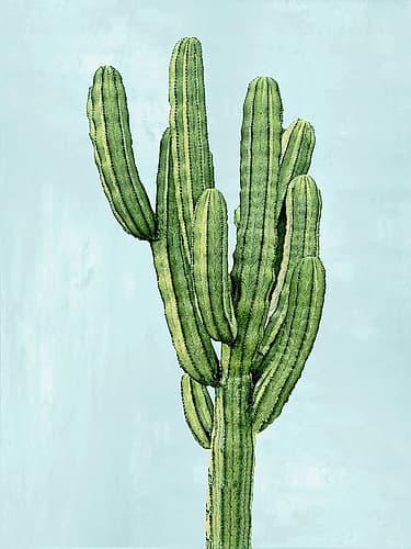 Cactus on Blue I Art Print by Mia Jensen