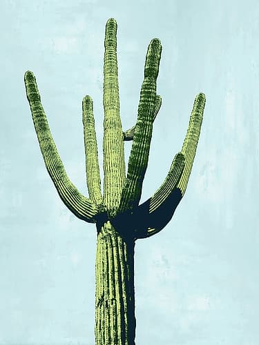 Cactus on Blue III Art Print by Mia Jensen