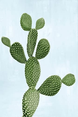 Cactus on Blue VII Art Print by Mia Jensen