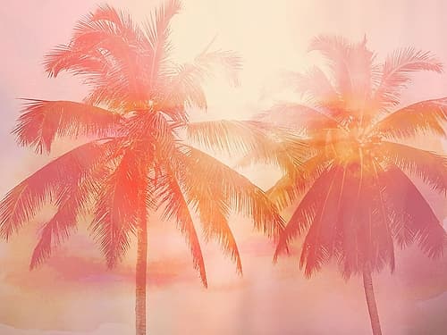 Palm Breeze II Coastal Print