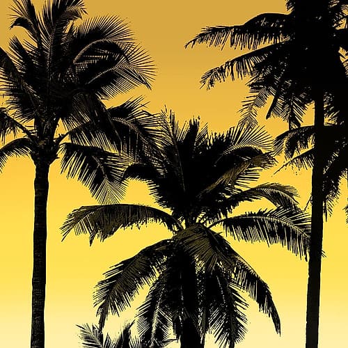 Palms Black on Yellow II Coastal Print