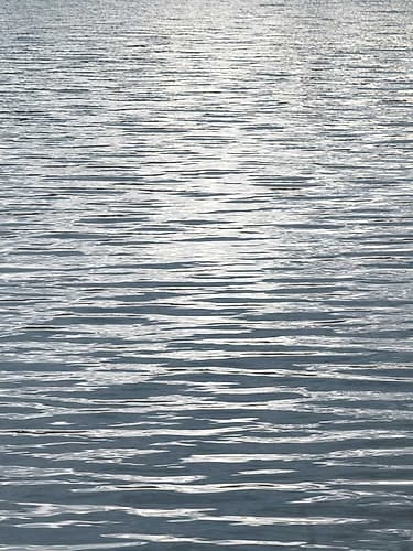 Ocean Current II Coastal Print