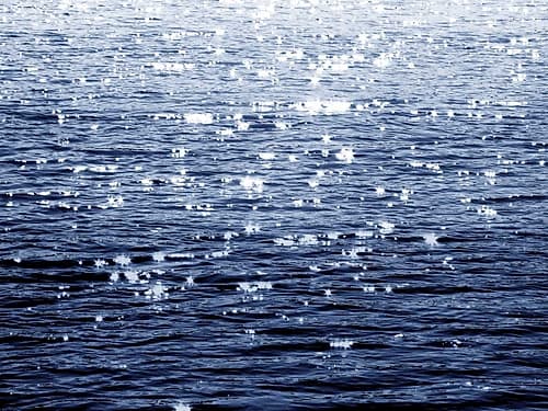 Sunlit Sea Indigo Art Print