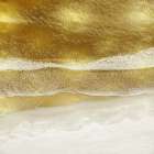 Gold Coast I Art Print