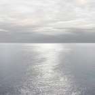Ocean Light Gray I Coastal Print