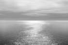 Ocean Light Gray IV Coastal Print