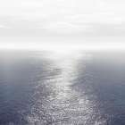 Ocean Light Indigo I Coastal Print