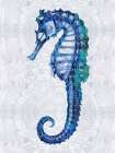 Sea Horse I Art Print